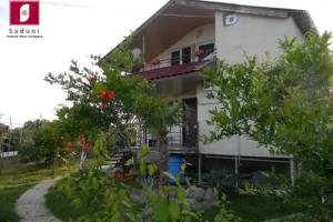 Family Wine Complex Saduni, Tbilisi