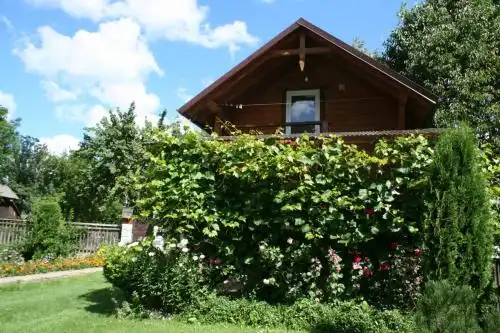 Krokus house - 38
