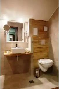 Casa Karina Bansko - Half Board & All Inclusive - 85