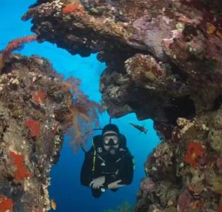 Aqaba Adventure Divers Resort & Dive Center - 16