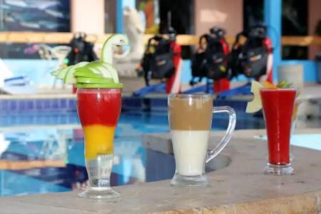 Aqaba Adventure Divers Resort & Dive Center - 8