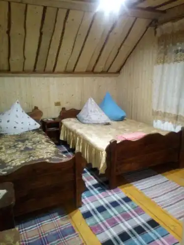 Відпочинок в Карпатах - 8