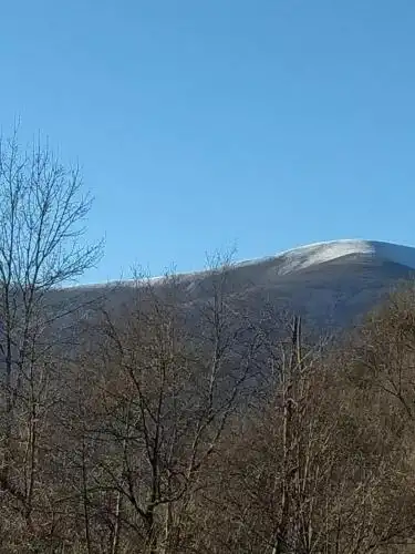 Відпочинок в Карпатах - 5