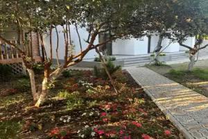 Damir Guest house, Pitsunda