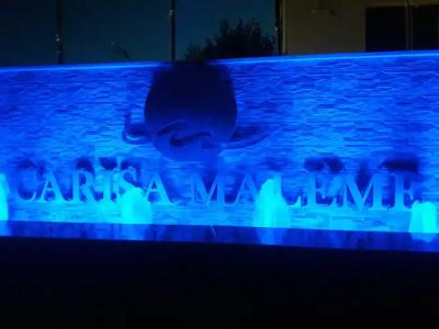 Carisa Maleme - 25