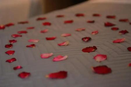 Riposo Studios & Apartments - 110