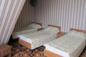 Motel Vstrecha, Vyaznika