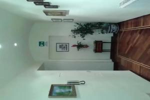 Lucky Domus Rooms, Rome