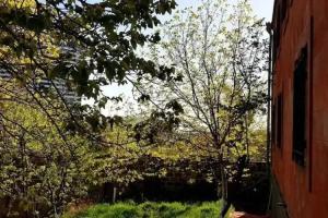 Bloor Hotel, Yerevan