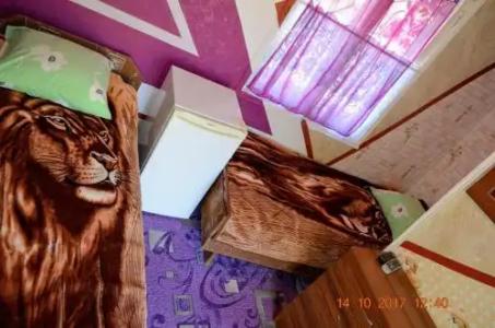 Petrovskaya Pristan Mini-hotel - 9