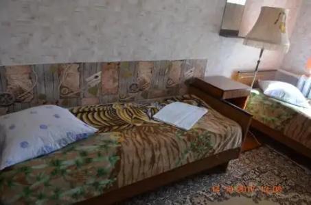 Petrovskaya Pristan Mini-hotel - 4