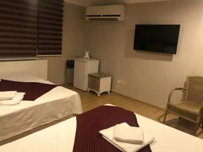 Altinboynuz Family - 1