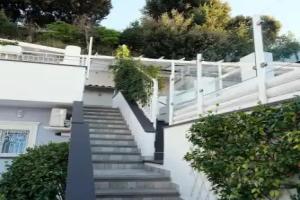 Pharus miseni, Bacoli