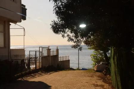 Grand Koru Beach - 65