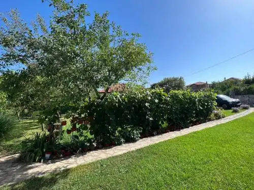 Villa Jovanovic - 3