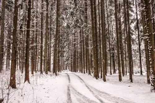 Dom otdyha Eridan Pansionat - 51