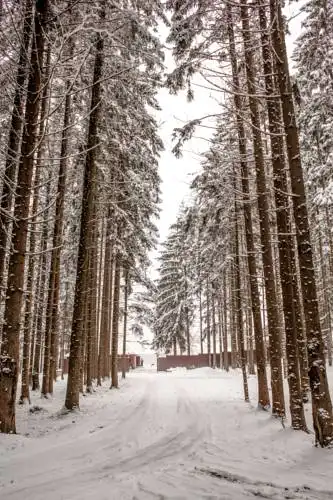 Dom otdyha Eridan Pansionat - 50