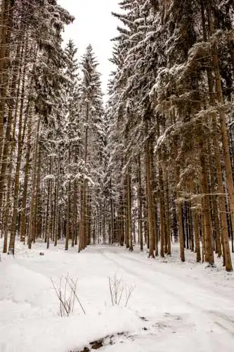 Dom otdyha Eridan Pansionat - 49