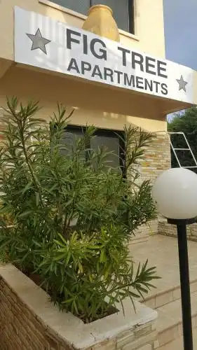 Fig Tree Apartments - 1