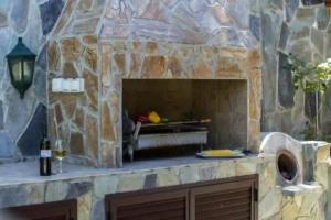 Guest House «Ricky Chalet Near Troodos»