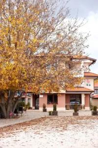 Flamingo Plovdiv - 15