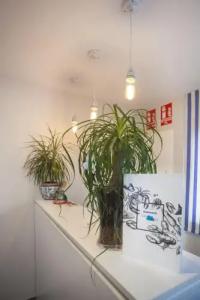 Boutique Barra Alta - 12