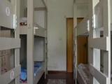 Bed in 6-Bed Male Dormitory Room