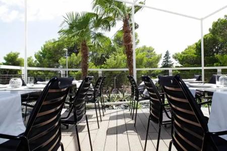 Lifestyle Vitar - Adults Only - 26