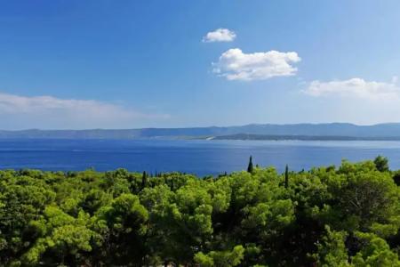 Lifestyle Vitar - Adults Only - 60