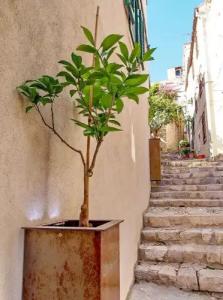 La Vita e Bella II - 10