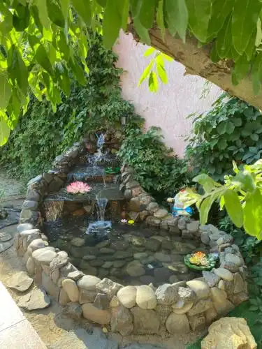 Pink house (Розовый дом) - 1