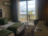 Standard Double room with balcony and with view