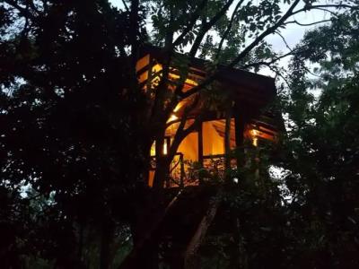 Eighth Wonder Resort - 41