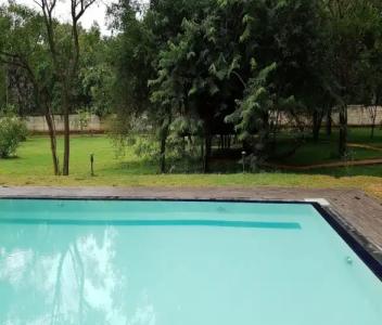 Eighth Wonder Resort - 30