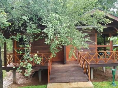 Eighth Wonder Resort - 49