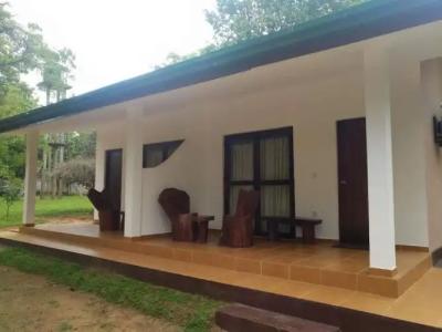 Eighth Wonder Resort - 22