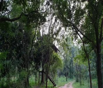 Eighth Wonder Resort - 34