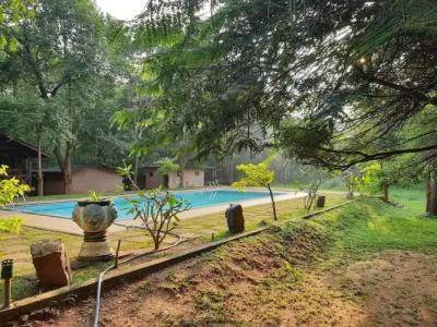 Eighth Wonder Resort - 32