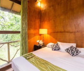 Eighth Wonder Resort - 36