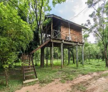 Eighth Wonder Resort - 35