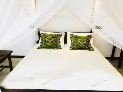 Sigiriya Rock Hide - 1