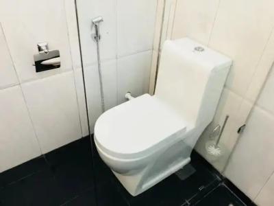 Sigiriya Rock Hide - 38