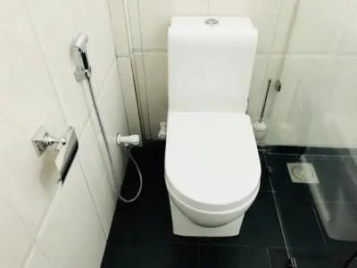 Sigiriya Rock Hide - 24