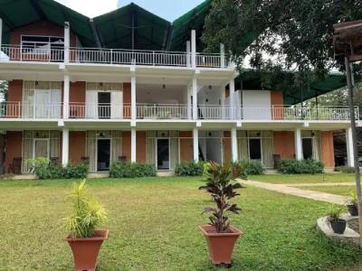 Sigiriya Rock Hide - 43