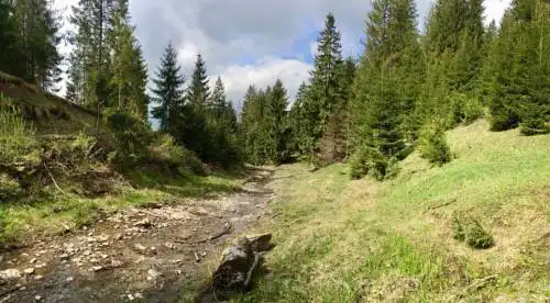 Шале на зарінку - 6