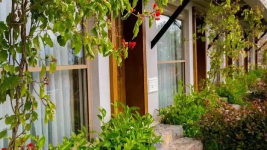 Assos Longevity - 108