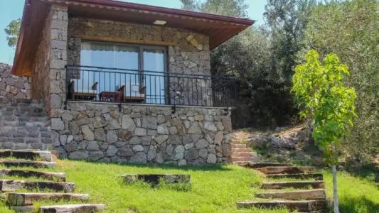 Assos Longevity - 45