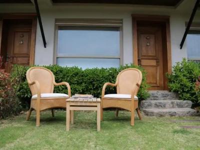 Assos Longevity - 32