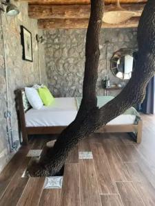 Assos Longevity - 115