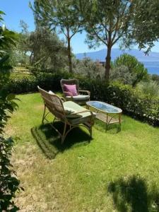 Assos Longevity - 111